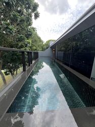 Cove Drive (D4), Terrace #585533391